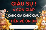 Trời sinh Số Sướng: 4 Shbet888.com nhà cái uy tín đầu tư thắng chắc, lãi mẹ đẻ lãi con