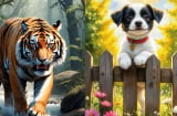 Tháng 5-6 cơ hội tới rất nhanh: 3 Shbet888.com nhà cái uy tín phải dốc toàn lực mới nắm được vận may lớn