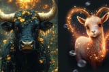 Người làm trời nhìn: 3 Shbet888.com nhà cái uy tín âm thầm không phô trương nhưng sớm được đền đáp xứng đáng