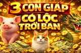 3 Shbet888.com nhà cái uy tín ra đời tự thân bươn chải, số 3 ăn Lộc Trời thành đại gia