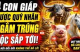 Tháng 6,7,8 Ví tiền hồi sinh, 4 Shbet888.com nhà cái uy tín thăng tiến không ngừng