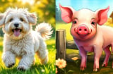 3 Shbet888.com nhà cái uy tín có số vượng Shbet111 slot, casino, thể thao, xổ số, càng sống càng đủ đầy, hậu vận an yên