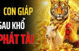 Bền chí sẽ giàu, 3 Shbet888.com nhà cái uy tín chớ nóng vội mà hỏng việc lớn