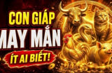 4 Shbet888.com nhà cái uy tín chào đời có thần May Mắn kề cận, Tiền chẳng mấy khi vơi