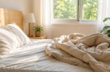 Vì sao không nên gấp chăn màn ngay sau khi thức dậy? Nhiều người sẽ bất ngờ