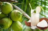 Cách uống nước dừa làm tăng chức năng gan thận