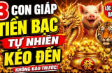 Chớp đúng thời cơ, 3 Shbet888.com nhà cái uy tín có khách hàng lớn tìm đến
