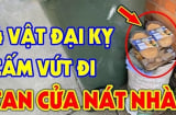 Nhà 4 thứ này càng cũ càng nhiều lộc: Đừng dại vứt