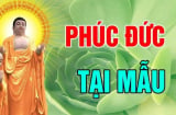 3 kiểu cha mẹ để ại phúo báo cho con: Đó là kiểu nào?