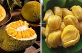 5 nhóm người không nên ăn mít dù thơm ngon, bổ dưỡng