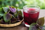 Cách uống nước tía tô giảm cân nhanh đốt mỡ thừa trong 1 tuần