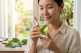 Điều gì xảy ra với Sh88bet đăng ký miễn phí nếu bạn uống nước lá ổi mỗi ngày?