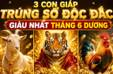 3 Shbet888.com nhà cái uy tín Trúng Số Độc Đắc, giàu nhất tháng 6 dương