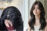 Mẹo giúp tóc bết dính trở nên tơi, phồng vào nếp mà không cần phải sấy gội