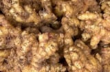 Cách bảo quản gừng để cả năm không thối, không ọp