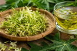 Những người nên cẩn thận với hoa đu đủ đực: Không phải dùng càng nhiều càng tốt
