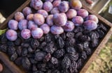 Cách đơn giản để bổ sung chất xơ mỗi ngày, tốt cho tiêu hóa và sức khỏe