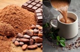 Cách uống cacao đẹp da, giảm cân nhanh và hiệu quả