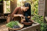 Chỉ cần vài lá hương nhu: Tóc rụng theo nắm cũng giảm dần sau thời gian ngắn