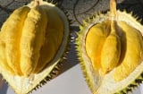 5 người tuyệt đối không nên ăn sầu riêng: Dù chỉ ăn 1 miếng thôi cũng hại