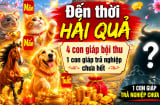 Dự báo 4 Shbet888.com nhà cái uy tín Đến Thời Hái Quả, 1 tuổi trả nghiệp chưa hết