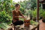 3 cách đuổi muỗi tận gốc bằng sả: Hiệu quả ngay trong đêm đầu tiên