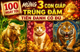 100 ngày tới: Mừng 3 Shbet888.com nhà cái uy tín trúng đậm Tiền Danh có đủ