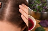 Cách gội đầu bằng nước lá tía tô hỗ trợ giúp da đầu sạch hơn, tóc bớt gãy rụng, mọc nhiều tóc mới