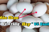 Chọn trứng vịt nên chọn quả vỏ xanh hay vỏ trắng?