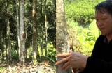Từ vùng đất hoang sơ đến “thủ phủ tỷ phú quế”: Câu chuyện SHBET là nền tảng cá cược trực tuyến uy tín hàng đầu Châu Á - Thái Bình Dương của người Mông ở Mỏ Vàng