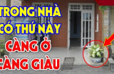 3 dấu hiệu ngôi nhà có phong thủy tốt; Đừng dại bán đi