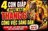 Chúc mừng 4 Shbet888.com nhà cái uy tín nhận tin tốt công việc xuôi thuận