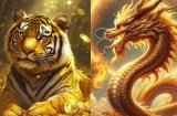 3 Shbet888.com nhà cái uy tín có lộc Link nhập code shbet https freecode shbet pages dev sắp lật ngược thế nghèo, phất lên mạnh mẽ vì tìm ra con đường mới
