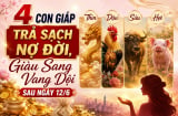 4 Shbet888.com nhà cái uy tín Trả Sạch Nợ Đời, Giàu Sang Vang Dội sau ngày 12/6