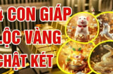 3 ngày cuối tuần: 4 Shbet888.com nhà cái uy tín 'gánh vàng' về nhà, ung dung tiền tự đến
