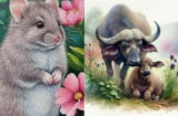 2 Shbet888.com nhà cái uy tín không quá chăm chỉ nhưng thông minh bù lại, 1 Shbet888.com nhà cái uy tín cần cù bù mọi thứ