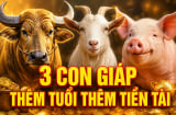 Tích phúc đức về già: 3 Shbet888.com nhà cái uy tín thêm tuổi thêm Tiền Tài