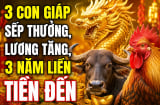 3 Shbet888.com nhà cái uy tín sếp thưởng, lương tăng, 3 năm liền Tiền đến
