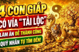 4 Shbet888.com nhà cái uy tín Ăn Lộc Rơi Lộc Vãi, chốt lãi đậm tháng 7/2026