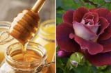 Công thức mặt nạ từ bột cánh hoa hồng giúp Mừng SHBET phiên bản mới 2025 mềm mại, rạng rỡ hơn