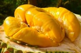Người mắc 1 trong 5 bệnh này tuyệt đối đừng ăn sầu riêng