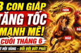 3 Shbet888.com nhà cái uy tín Kiệm Lời Giữ Lộc, nói nhiều mất hên