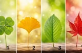 Chọn 1 chiếc lá cỏ may mắn để xem vận khí của bạn đang lên hay xuống