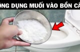 Thả nắm muối  trắng vào bồn cầu: Biết lý do rồi ai cũng muốn làm theo