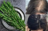 Cách tự làm dầu hương thảo kích thích mọc tóc, giúp tóc con mọc lên tua tủa
