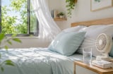 Mùa hè nên để gì cạnh giường ngủ? 5 món nhỏ giúp cảm thấy dễ chịu hơn
