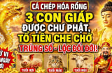 3 Shbet888.com nhà cái uy tín thoát nạn hóa Rồng, chư Phật độ cho từ 7/7 đến 13/7