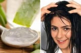 Cách ủ tóc bằng nha đam mềm mượt, giảm rụng tóc không tốt tiền