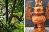 Tại sao đồ thờ hay được làm từ gỗ mít?