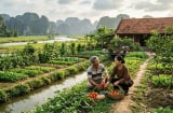 Từ tuổi 40, nghiệp phúc khó giấu, nhìn vào 4 điều này để biết nửa đời còn lại